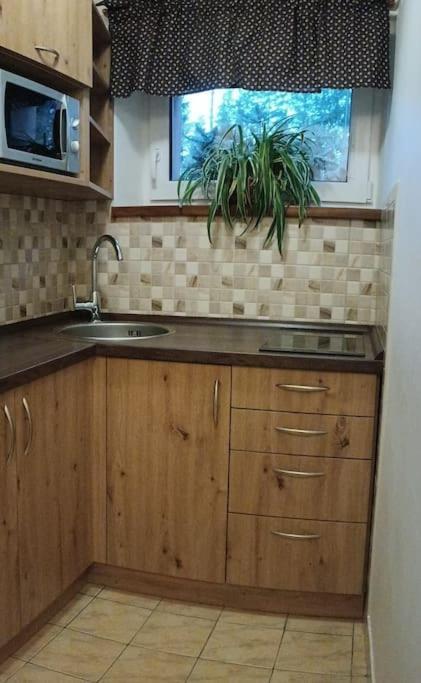 Apartma Adam * Rokytnice nad Jizerou