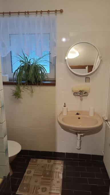 Apartma Adam *