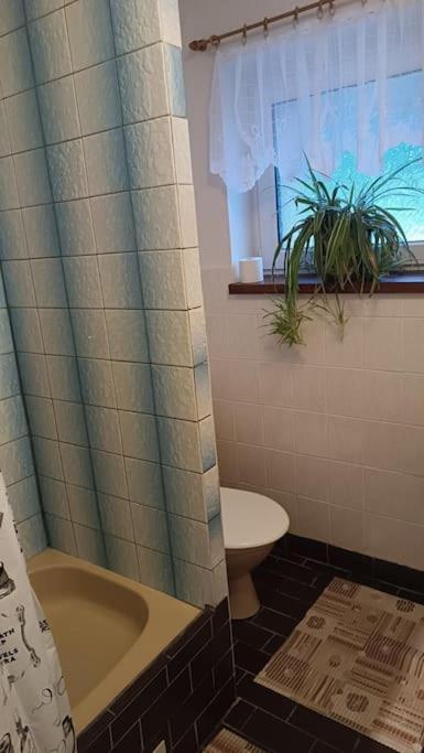 Apartmán Apartma Adam Rokytnice nad Jizerou