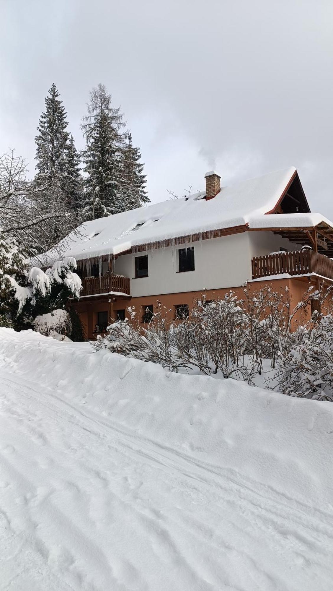 Apartma Adam